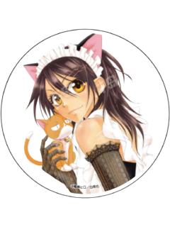 鲇泽美咲2-2025年cafe场贩透明亚克力杯垫