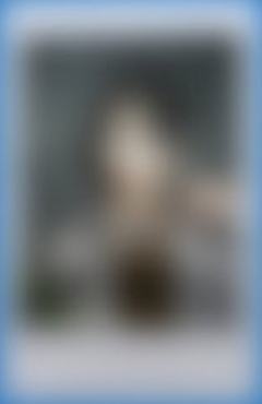 ARENA杂志拍立得3 ver.B
