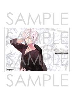 逆卷昴-Rejet A5 亚克力立牌