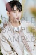 24cafe明信片 奎 ver.B