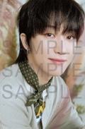 24cafe明信片 八 ver.B