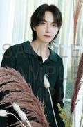 24cafe明信片 净 ver.A