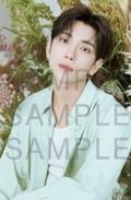 24cafe明信片 刷 ver.A