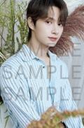 24cafe明信片 俊 ver.B