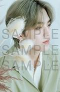 24cafe明信片 澈 ver.A