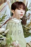 24cafe明信片 甜 ver.A