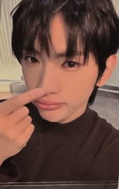 el预售5