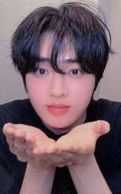 ia预售4