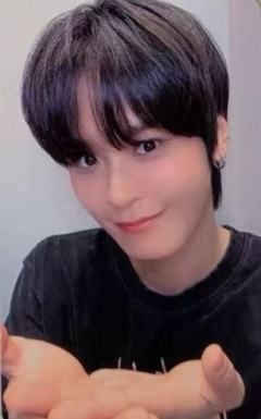 ia预售7
