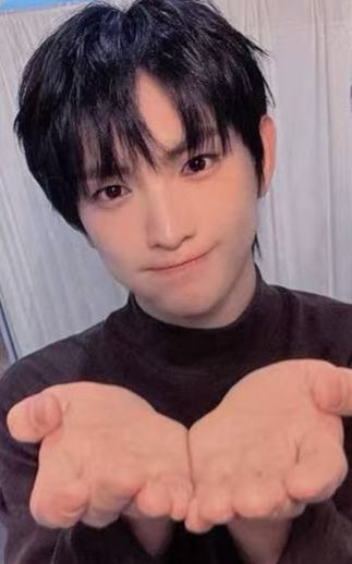 ia预售5