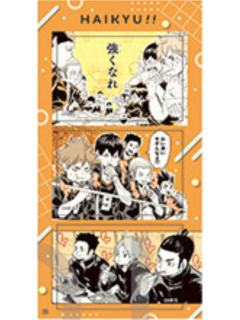 乌野高校5-Fanpark原画贴纸第2弹
