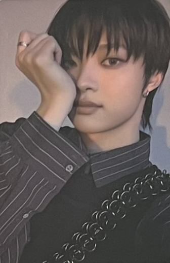 wvs预售4