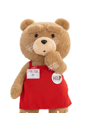 ted2-泰迪熊可动人偶