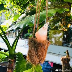 蜜桃 冰淇淋兔-资料图