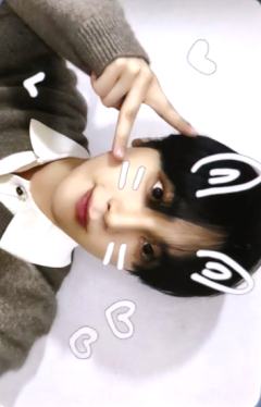 ms签售 年 宠物镜头ver.