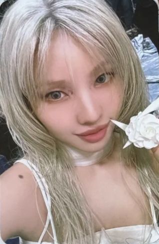 七周年展会小卡set 娟 ver.A