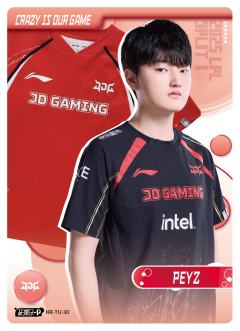 PEYZ