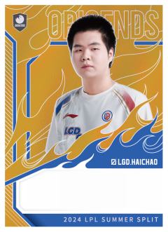 LGD.HAICHAO