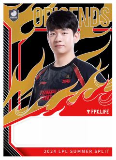 FPX.LIFE