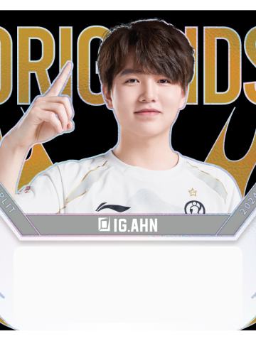 IG.AHN