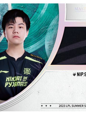 NIP.SHAD0W
