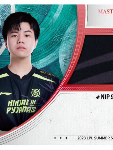 NIP.SHAD0W