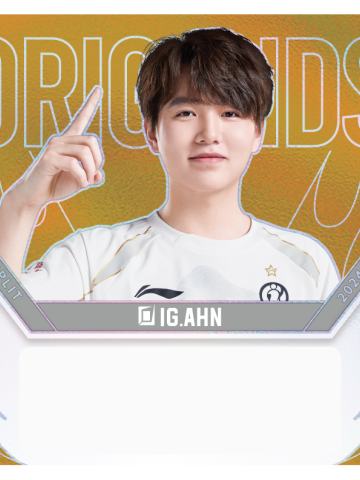 IG.AHN