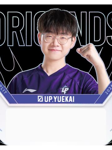 UP.YUEKAI