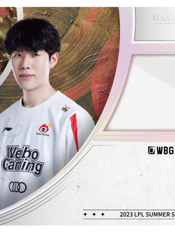 WBG.THESHY