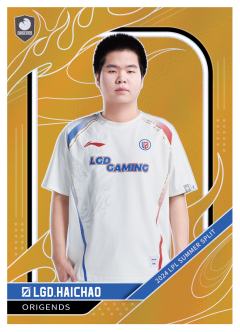LGD.HAICHAO