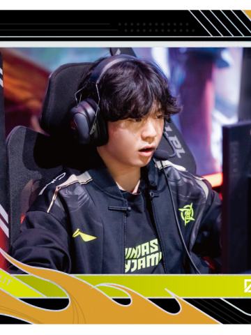 NIP.ROOKIE