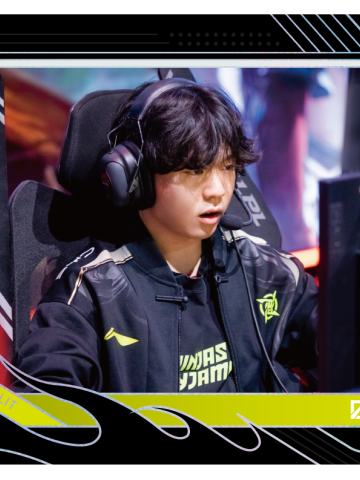 NIP.ROOKIE