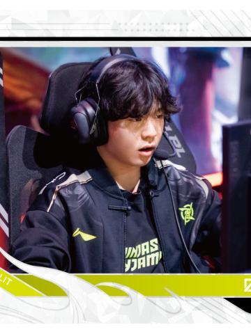 NIP.ROOKIE