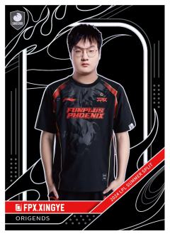 FPX.XINGYE