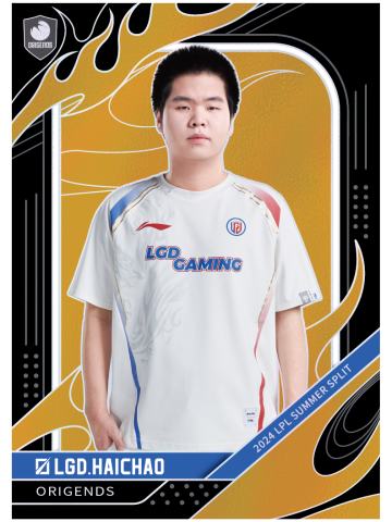 LGD.HAICHAO