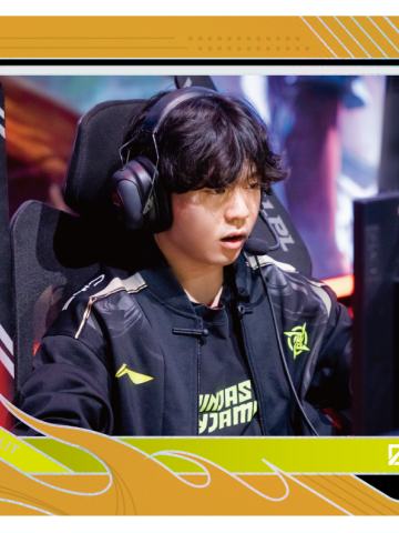 NIP.ROOKIE