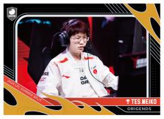TES.MEIKO