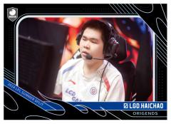 LGD.HAICHAO