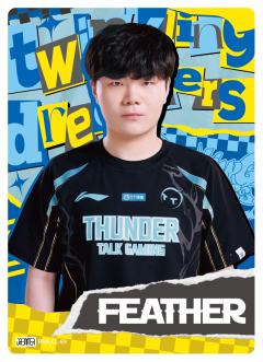 TT.FEATHER
