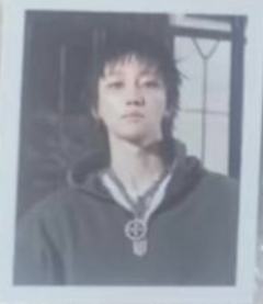 fp预售 八
