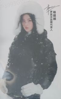 罗宾汉代言卡 ver.D