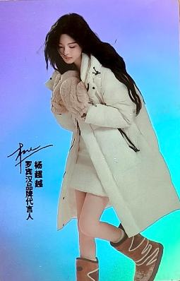 罗宾汉代言闪卡 ver.C