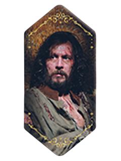 小天狼星·布莱克(基础款)-魔力水晶系列马口铁徽章