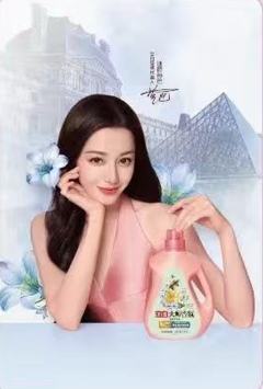 立白南法假日语音卡 ver.D