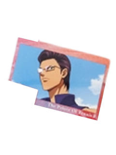 木手永四郎3-夏季博览会虹光透卡vol.2