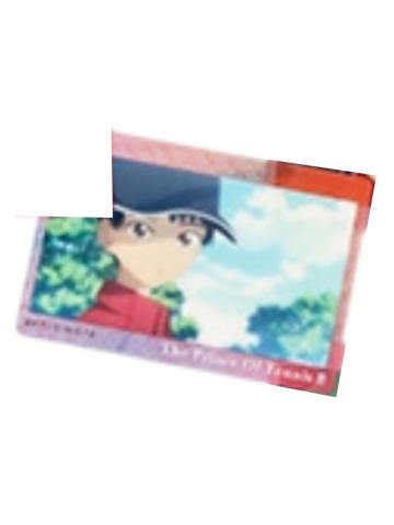 真田弦一郎4-夏季博览会虹光透卡vol.2