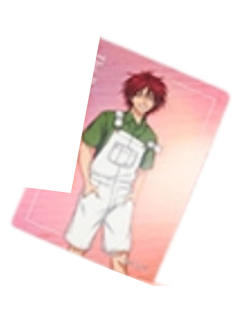 远山金太郎2-夏季博览会虹光透卡vol.2