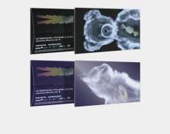 CRAZY  电子专A版