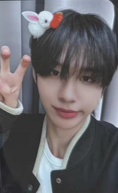 ms预售7