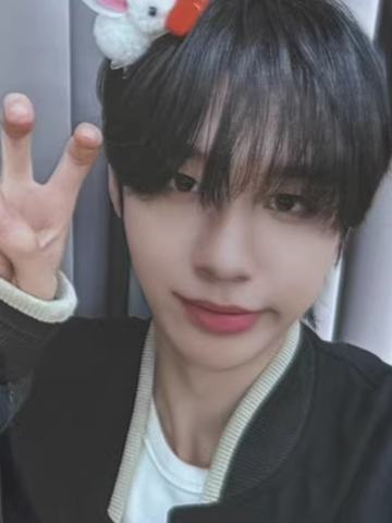 ms预售7